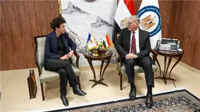 تعزيز التعاون الاستراتيجي بين مصر وقبرص في قطاع الطاقة
