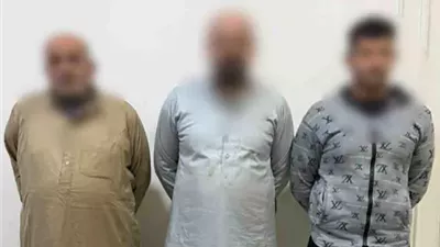ضبط شخصين تعديا على شقيقهما بالضرب لخلافات الميراث بكفر الشيخ