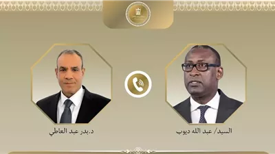 وزير الخارجية ونظيره المالي يبحثان تعزيز العلاقات الثنائية