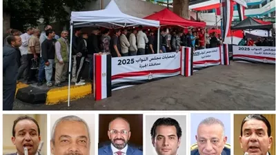 النتائج الأولية للدوائر الـ 30 الملغاة.. أنصفت المستقلين