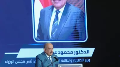 وزير الكهرباء: نستهدف الوصول بالطاقة النظيفة إلى 42%