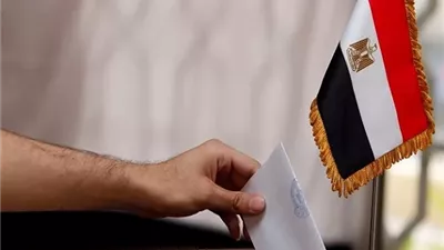 حبشي: جاهزية 22 مقرا انتخابيا لاستقبال ناخبي جولة الإعادة