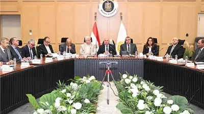الموافقة على إقامة مشروع إنتاج إطارات النقل الثقيل والجرارات الزراعية