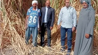 مدارس حقلية وندوات ترشيد مياه وأعمال تطهير بزراعة بالأقصر