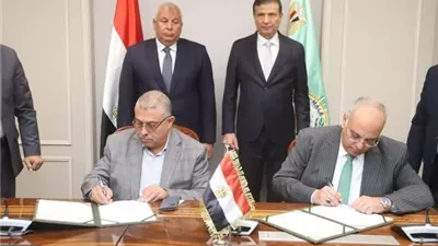 الزراعة والوادى الجديد يتعاونان لحماية مركز الحرير من زحف الرمال