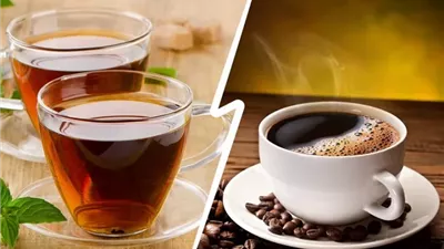 منها الشاي والقهوة.. دراسة تكشف عن أطعمة ومشروبات تحمي القلب مع التقدم في العمر