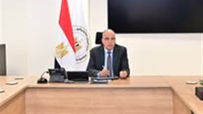 وزير الري يؤكد التزام مصر القوي بدعم جهود التنمية في دول حوض النيل