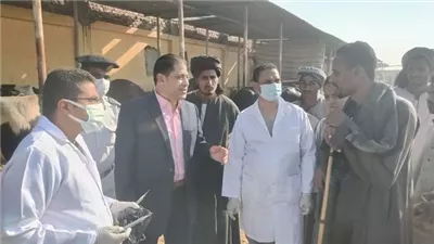 تحصين 775 ألف رأس مواشى وطيور بالأقصر خلال 2025