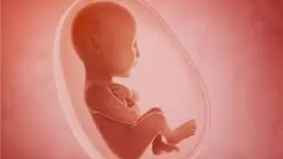 انغراس الجنين .. حوار حيوي بين الرحم والجنين يحدد مصير الحمل