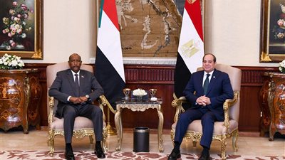 الرئيس السيسي يؤكد ثوابت الموقف المصري الداعم لوحدة السودان