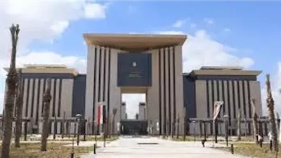 انجازات تاريخية في عام استثنائي للدبلوماسية المصرية