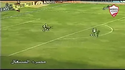 أحسن تصدي لـ عضام الحضري في أمم أفريقيا 2002.. فيديو
