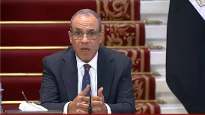 وزير الخارجية:العلاقات بين مصر وروسيا عميقة في مجالات التعاون المختلفة