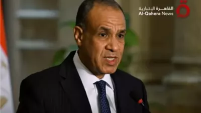 وزير الخارجية يؤكد ضرورة تنفيذ قرار مجلس الأمن 2803 بشأن غزة