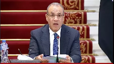 وزير الخارجية: نؤكد أهمية وحدة أراضي السودان وصون مؤسساته