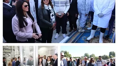 افتتاح مجزر الحبيل الآلي ووضع حجر أساس السوق الحضاري بالأقصر