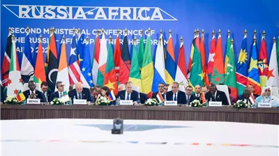 وزير الخارجية يستعرض رؤية مصر للأمن والتنمية في أفريقيا