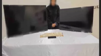 الداخلية تضبط المتهمة بسرقة فيلا دبلوماسى بالجيزة