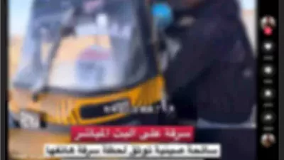 ضبط سائق توك توك سرق هاتف محمول من اجنبيه بأسوان