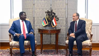 مشاورات سياسية بين وزير الخارجية المصري ووزير خارجية جنوب السودان