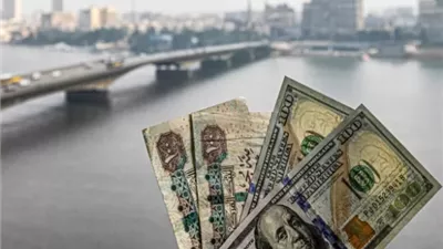 سعر الدولار اليوم في مصر.. الأخضر يحافظ على استقراره أمام الجنيه