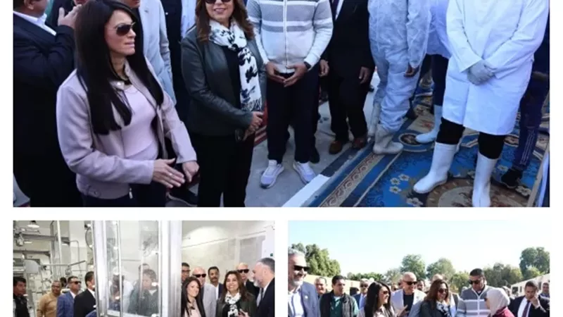 وزيرتا التنمية المحلية