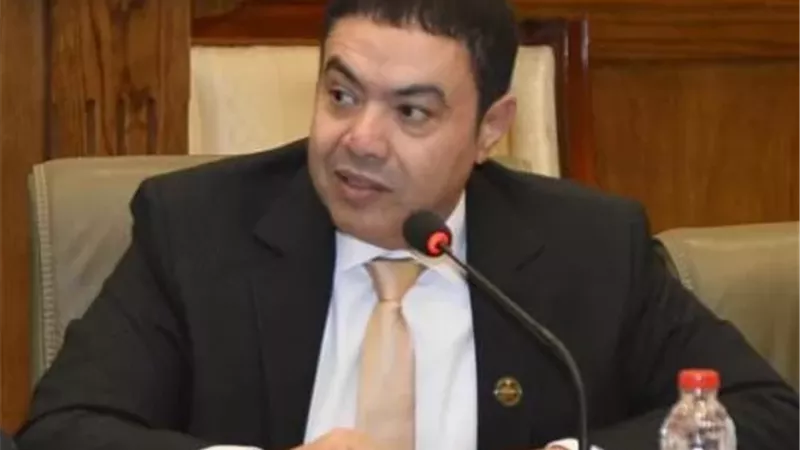 النائب إسماعيل الشرقاوي