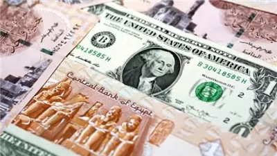 أسعار الدولار في البنوك المصرية اليوم الأربعاء 24 ديسمبر 2025