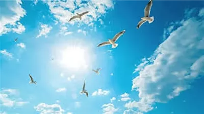 الدعاء بـ