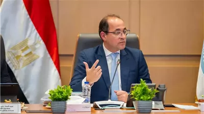 وزير المالية: منظومة 