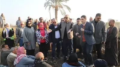 محافظ المنيا يعطى اشارة بدء انطلاق زراعة الذهب الأصفر ببردنوها