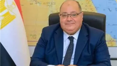 قنصل مصر بالرياض: انتخابات 