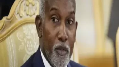 الخارجية النيجيرية تعلق على الضربة الأمريكية الدقيقة