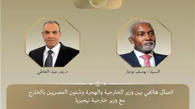 وزير الخارجية ونظيره النيجيري يبحثان القضايا الإقليمية والدولية ذات الاهتمام المشترك