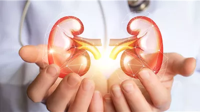عادات تضر بالكلى للنساء بعد الأربعين