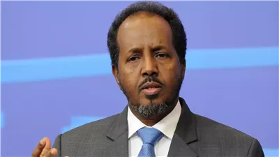 الرئيس الصومالي يبحث مع قادة شرق إفريقيا الانتهاك الإسرائيلي ضد سيادة بلاده