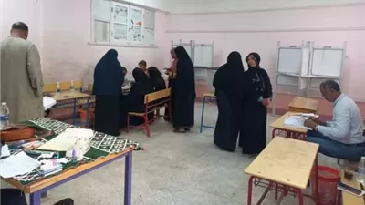 إقبال متفاوت في جولة الإعادة لانتخابات مجلس النواب بقنا