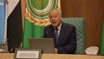 أبو الغيط: الاعتراف الإسرائيلي بإقليم صومالي لاند خطوة استفزازية مرفوضة