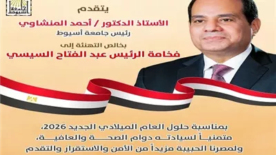 الدكتور المنشاوي يهنئ فخامة الرئيس السيسي بالعام الميلادي الجديد