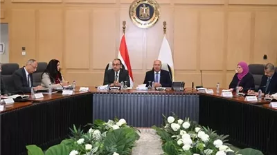 الوزير: تكثيف جهود لجنة التصدي للتهرب الجمركي وحماية الصناعة المحلية