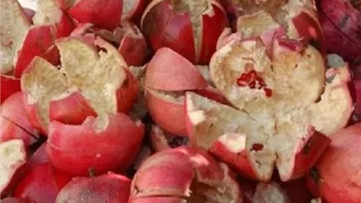 قشر الرمان .. كنز طبيعي مهمل رغم استخداماته المتعددة