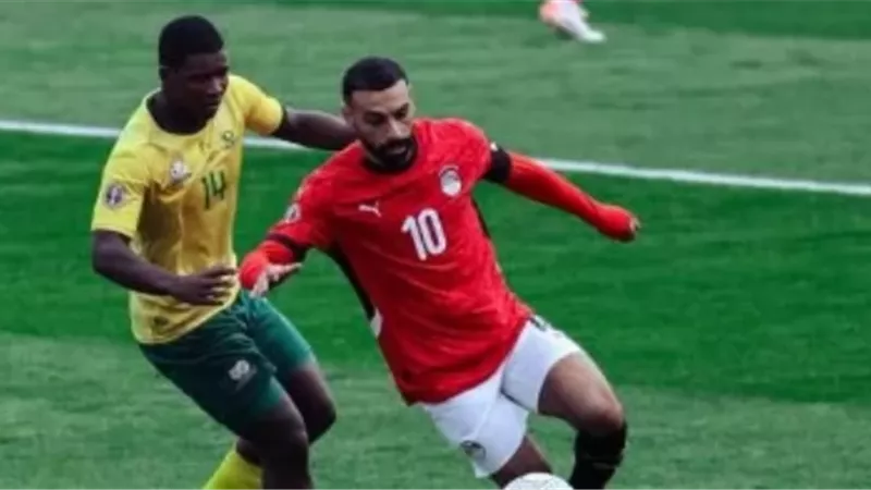 مصر وجنوب افريقيا