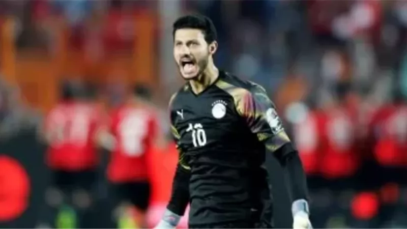 محمد الشناوي