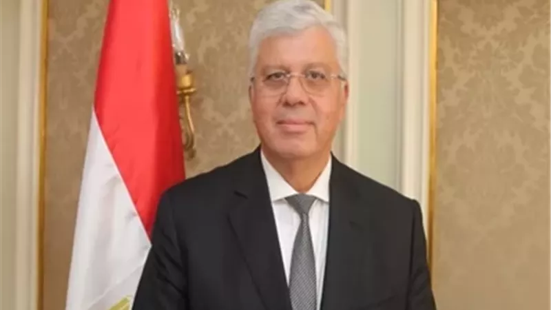 الدكتور أيمن عاشور