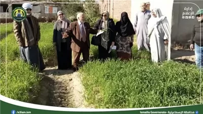 متابعة ميدانية لزراعات القمح بالإسماعيلية..صور