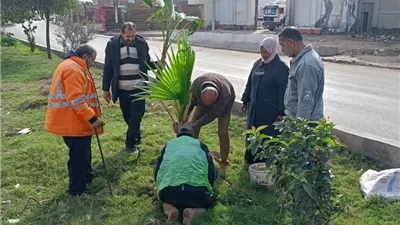 تشجير وتجميل مدن دمياط في أسبوع الإستدامة البيئية