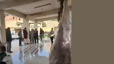 افتتاح مجزر بردين بالزقازيق وتحقيق أعلى معايير السلامة الغذائية