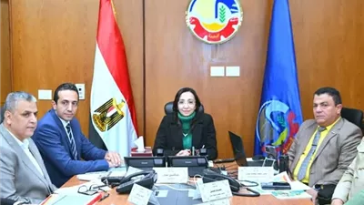 انتظام لجان الإعادة لإنتخابات مجلس النواب بأربع دوائر بالبحيرة