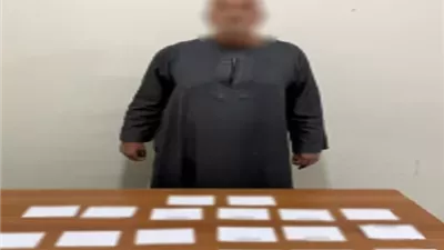 ضبط شخص لتوجيه الناخبين لصالح مرشح معين بالأقصر