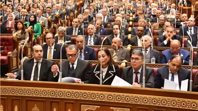 مجلس الشيوخ يوافق مبدئيا على تعديلات قانون الضريبة على العقارات المبنية